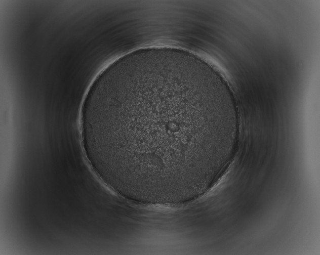 X0000095950990200801111346