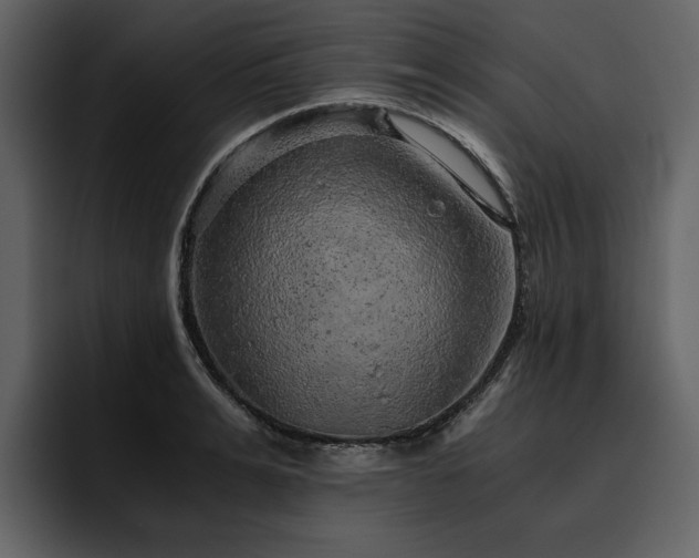 X0000095950991200801111346