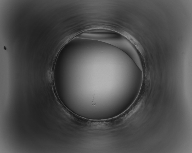 X0000095950993200801111346