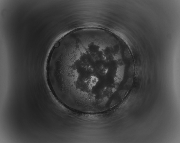 X0000095950995200801111346