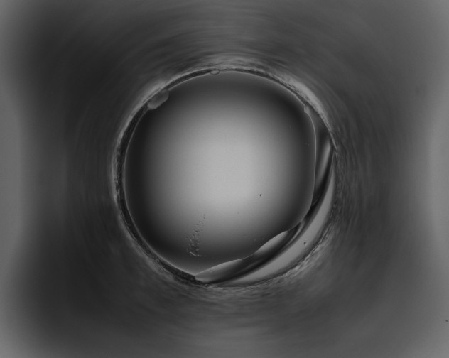X0000095950997200801111346