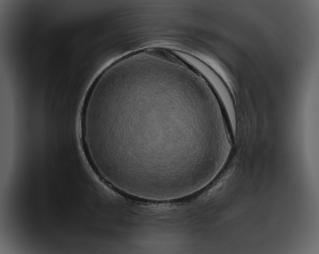 X0000095950999200801111346