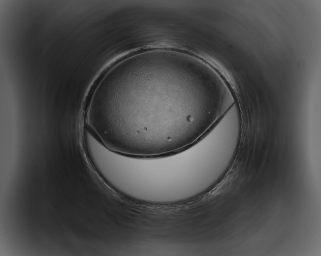 X0000095951000200801111346