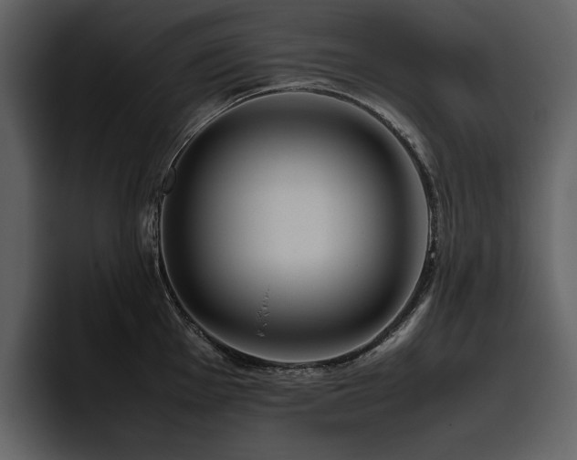 X0000095951001200801111346