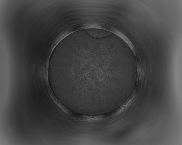 X0000095951002200801111346
