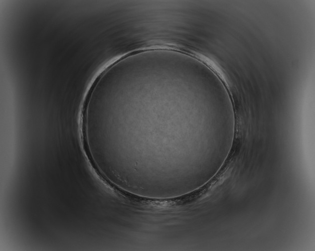 X0000095951003200801111346