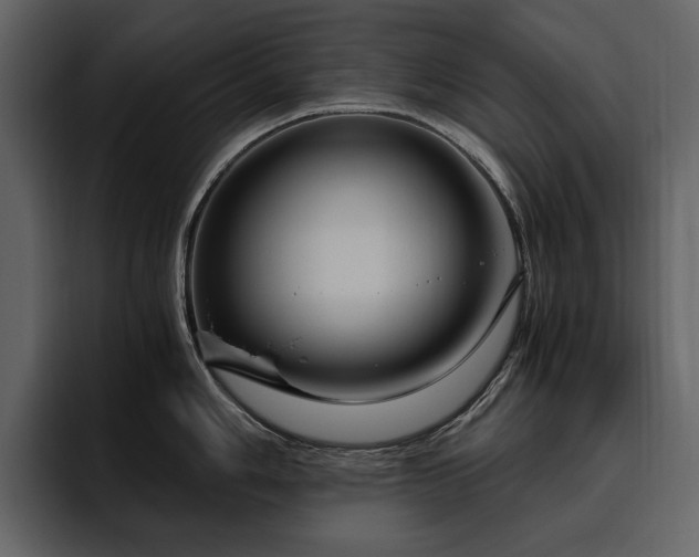X0000095951006200801111346