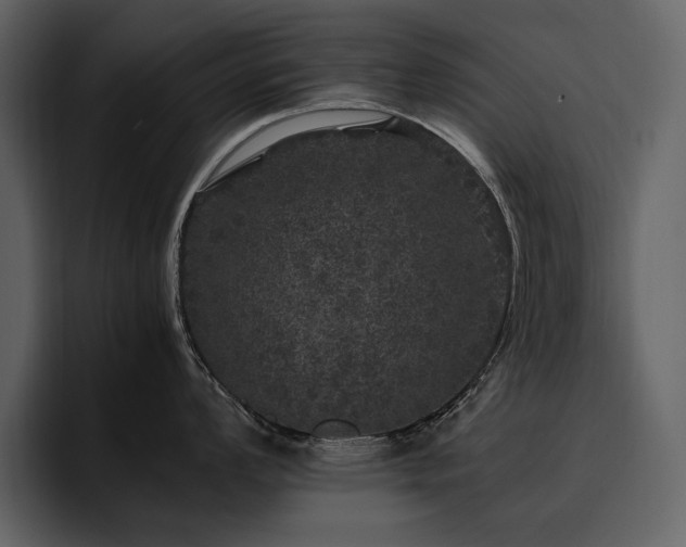 X0000095951008200801111346