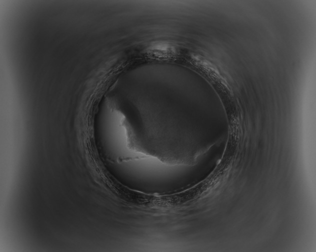 X0000095951009200801111345