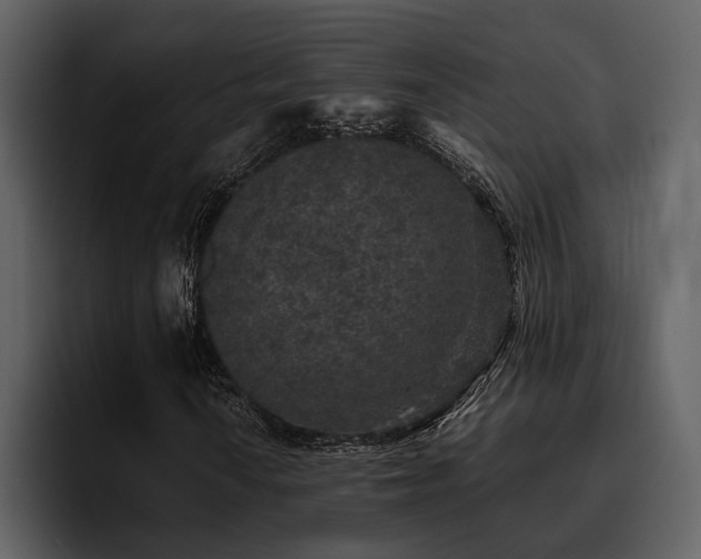 X0000095951010200801111345