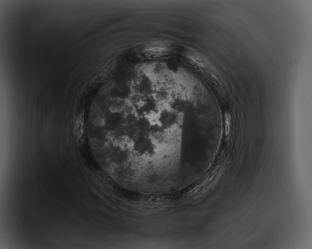 X0000095951011200801111345