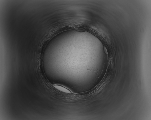 X0000095951012200801111345
