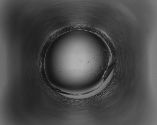 X0000095951016200801111345
