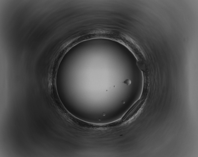 X0000095951017200801111345