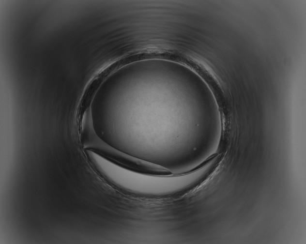 X0000095951018200801111345