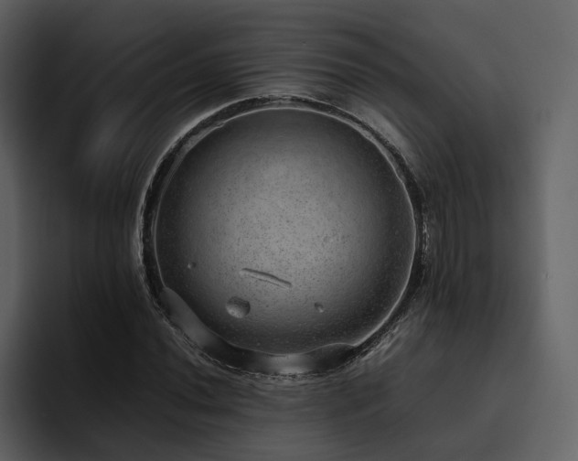 X0000095951020200801111345