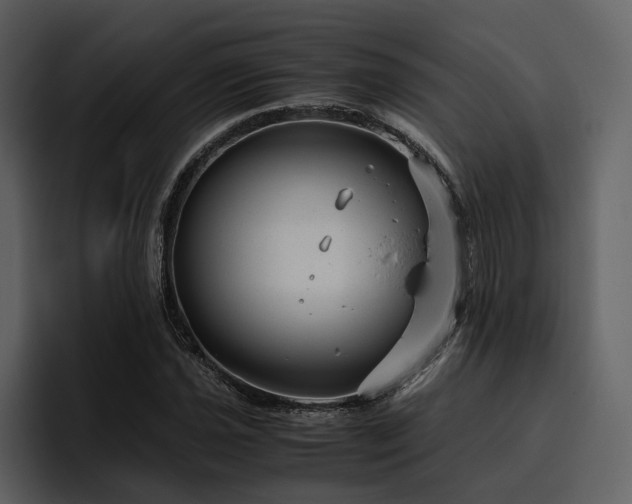 X0000095951021200801111345
