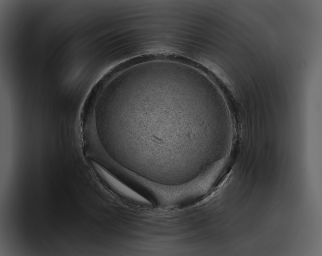 X0000095951022200801111345