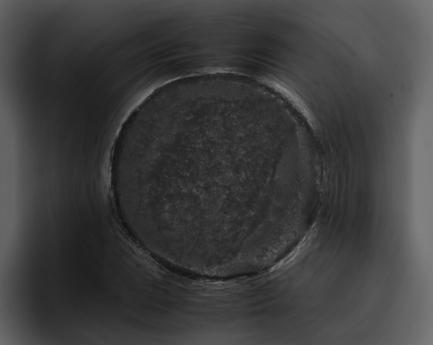 X0000095951023200801111345