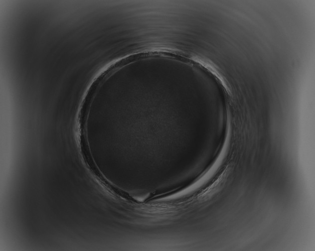 X0000095951024200801111345