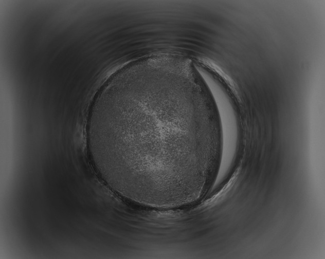 X0000095951025200801111345