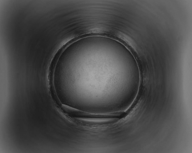 X0000095951026200801111345