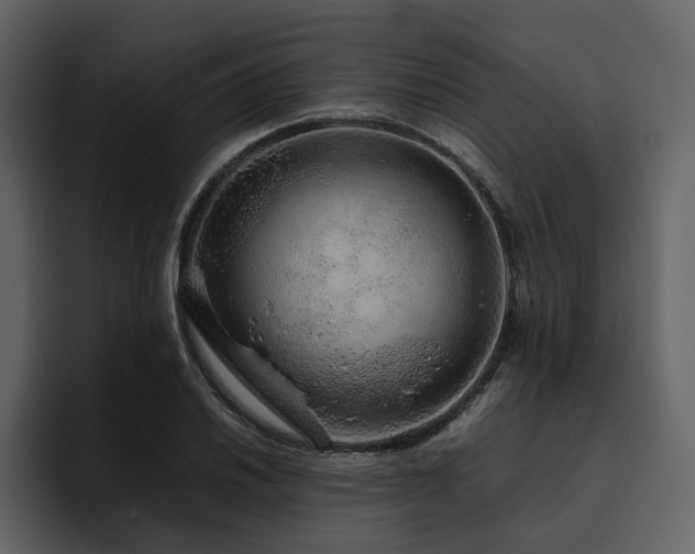 X0000095951030200801111346