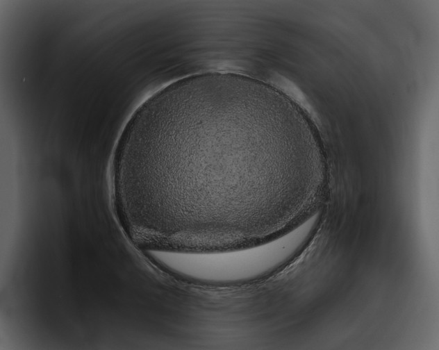 X0000095951032200801111346