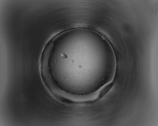 X0000095951034200801111346