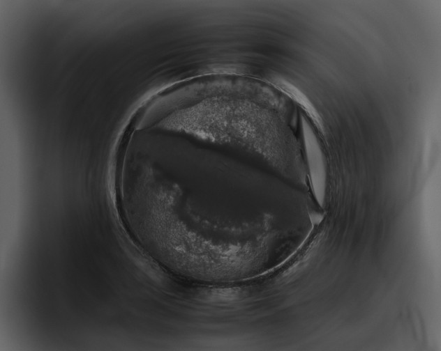 X0000095951035200801111346