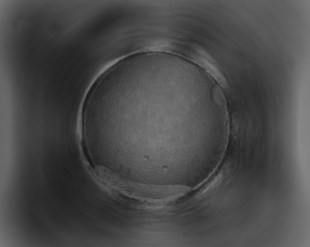 X0000095951036200801111346