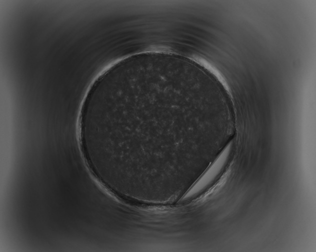 X0000095951037200801111346
