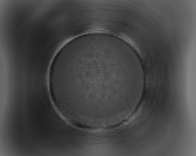X0000095951038200801111346