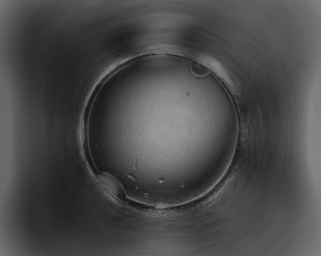 X0000095951040200801111346