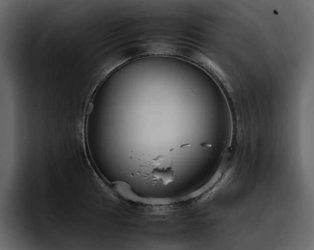X0000095951041200801111346