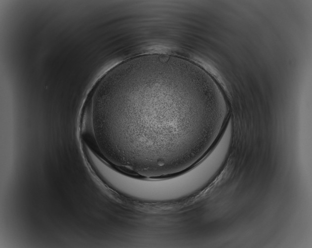 X0000095951042200801111346