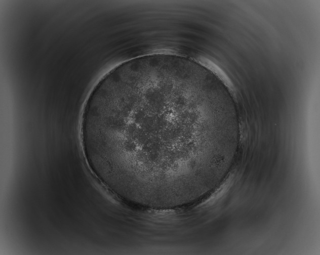 X0000095951043200801111346