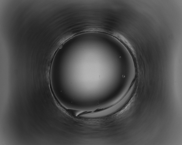 X0000095951049200801111346