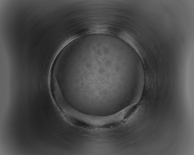 X0000095951050200801111346