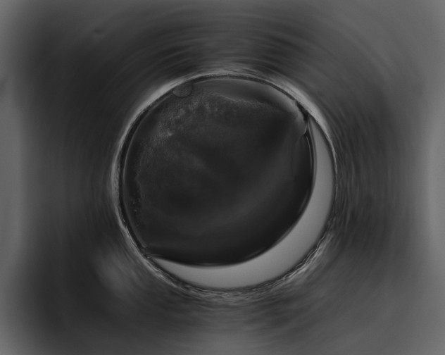 X0000095951053200801111346