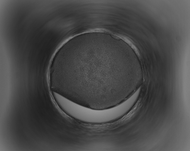 X0000095951054200801111346
