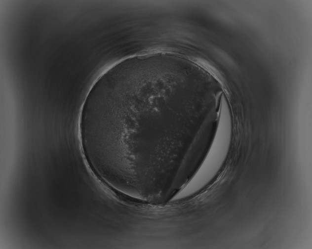 X0000095951055200801111346