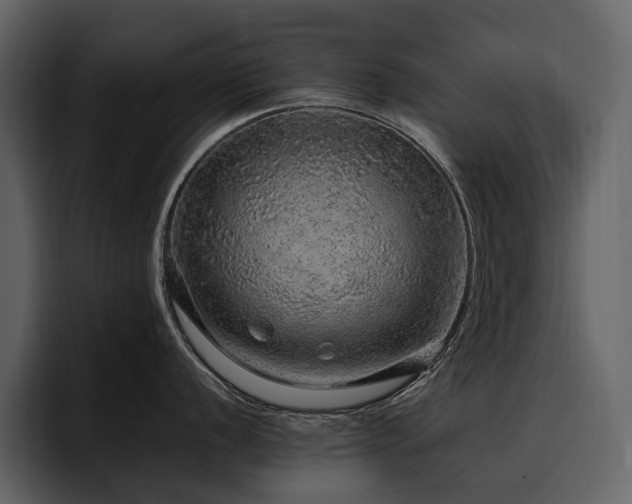X0000095951056200801111346