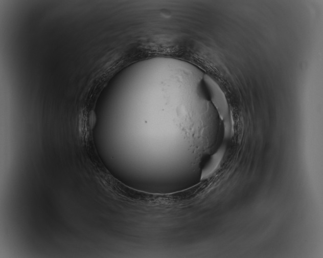 X0000095951058200801111345