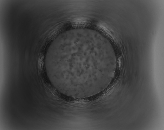 X0000095951059200801111345