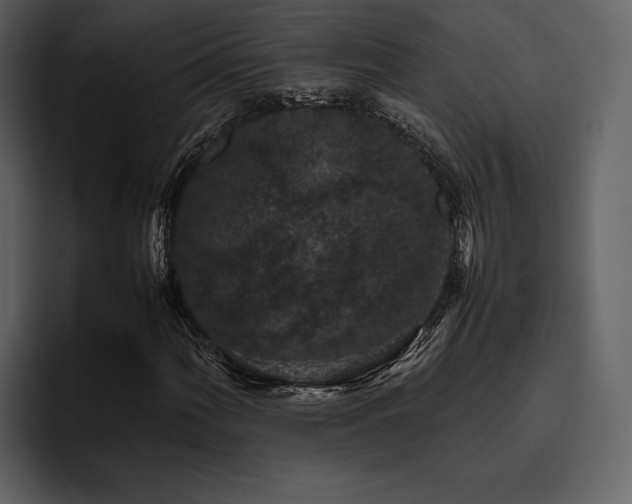 X0000095951060200801111345