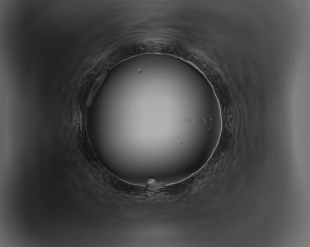 X0000095951061200801111345