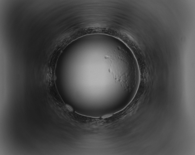 X0000095951062200801111345