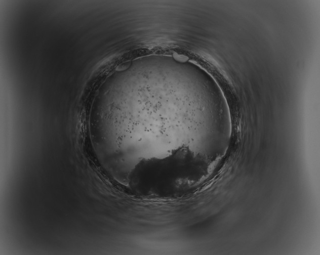 X0000095951063200801111345