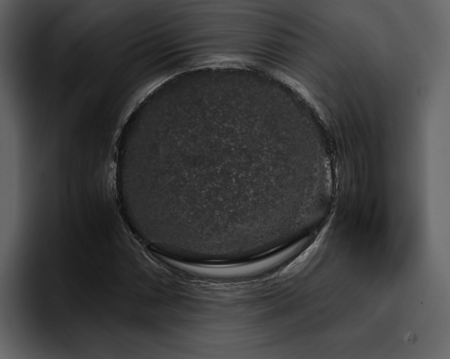 X0000095951066200801111345